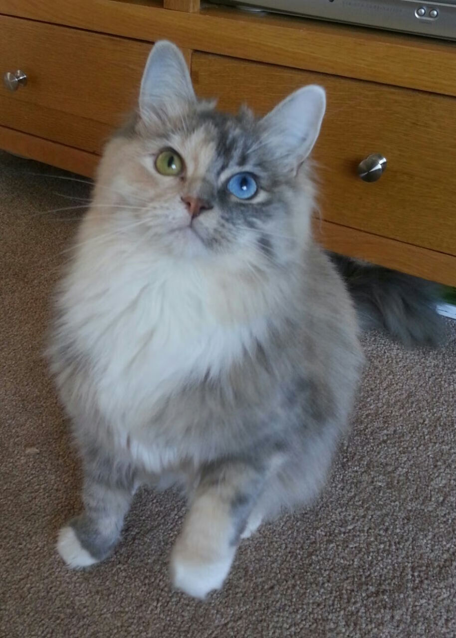 黑白直播体育-福克斯末节神威！新星闪耀马刺雷霆之战