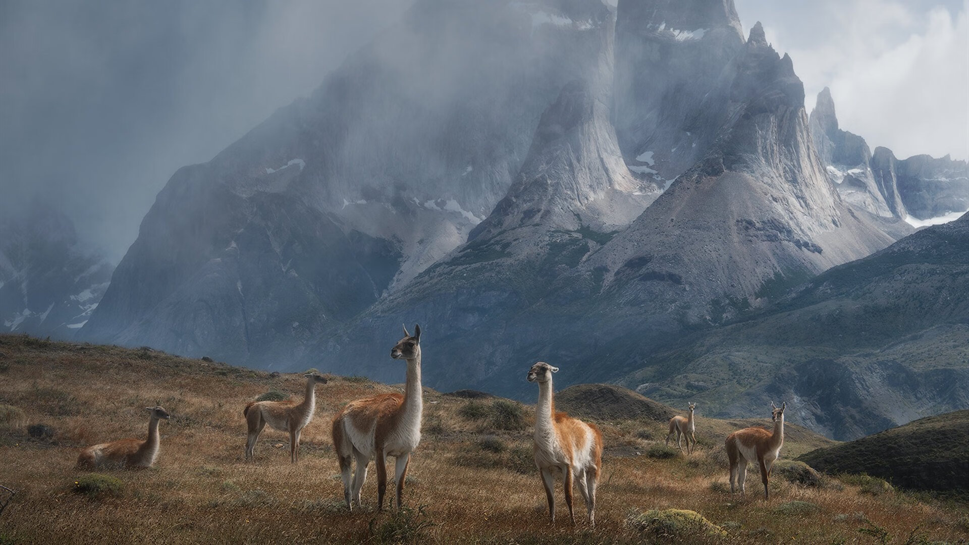 黑白直播在线观看nba-克莱关键先生显威，吉林队爆冷掀翻北京队