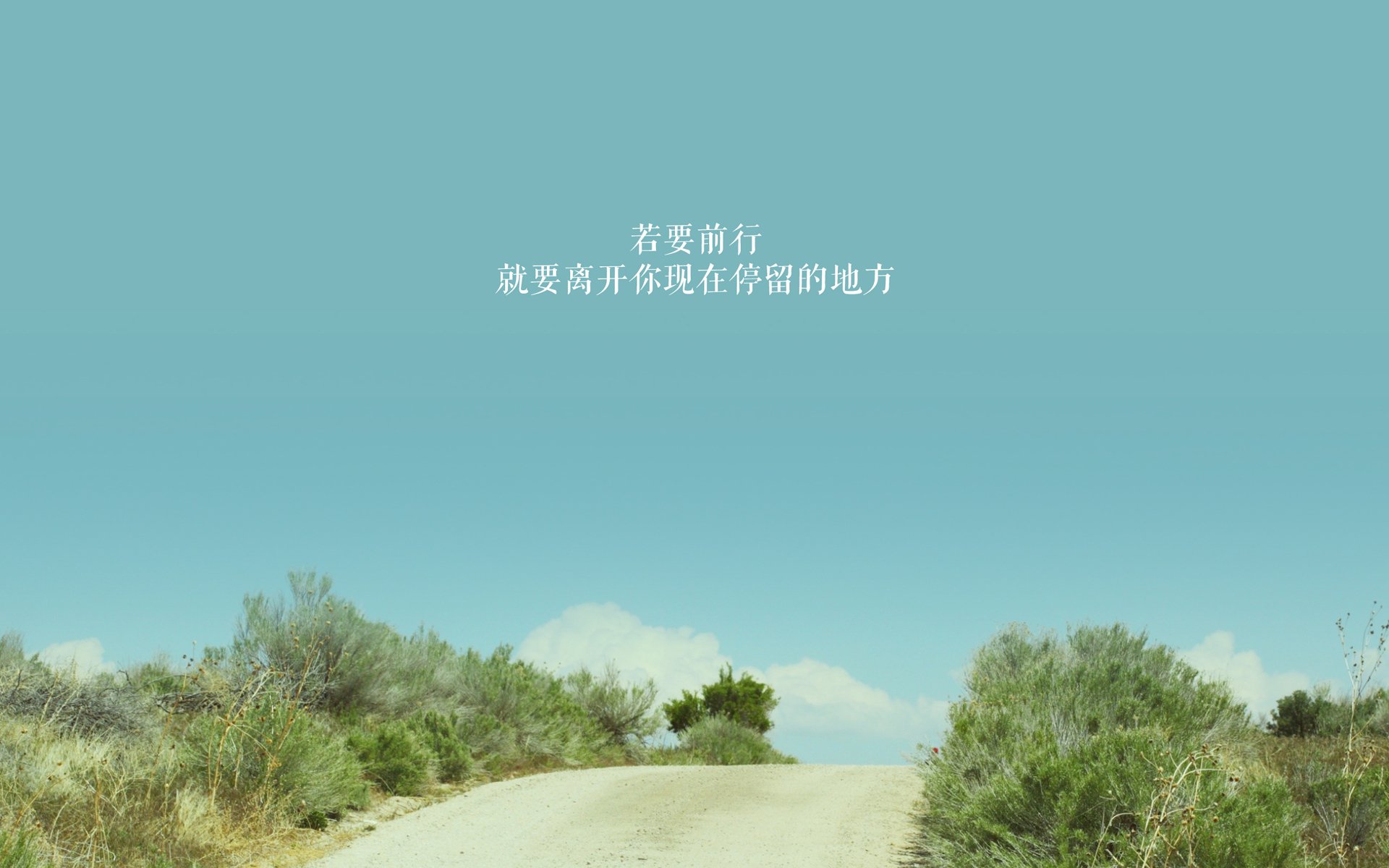 黑白直播网-绝杀之外，辽篮险胜背后的排名暗战与冠军底色