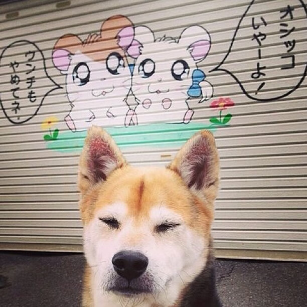 黑白直播-篮球智慧映绿茵，法国以NBA总决赛节奏掌控乌拉圭的焦点战