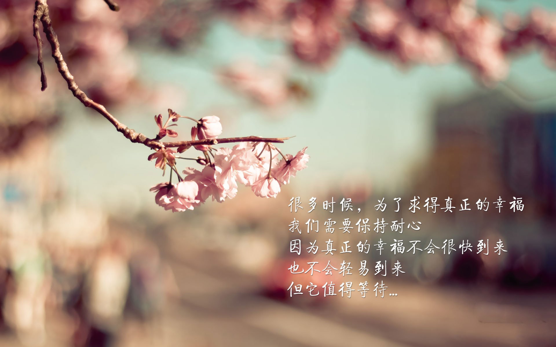 新狼王诞生记,杰伦·格林关键战不手软,雷霆万钧斩落森林狼