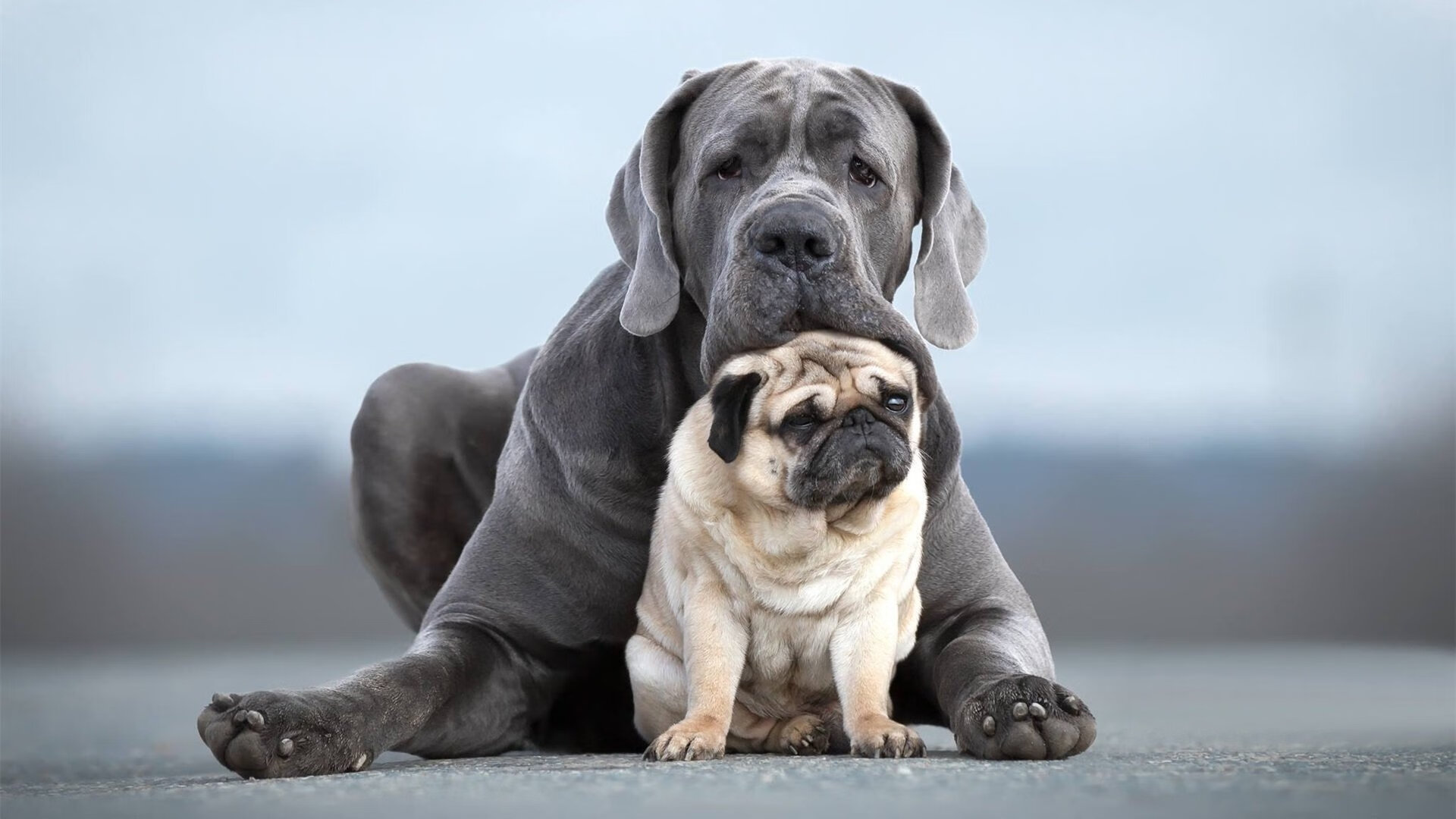 英超争冠焦点战再现马德里竞技式末节逆转,牙买加飞翼一剑封喉