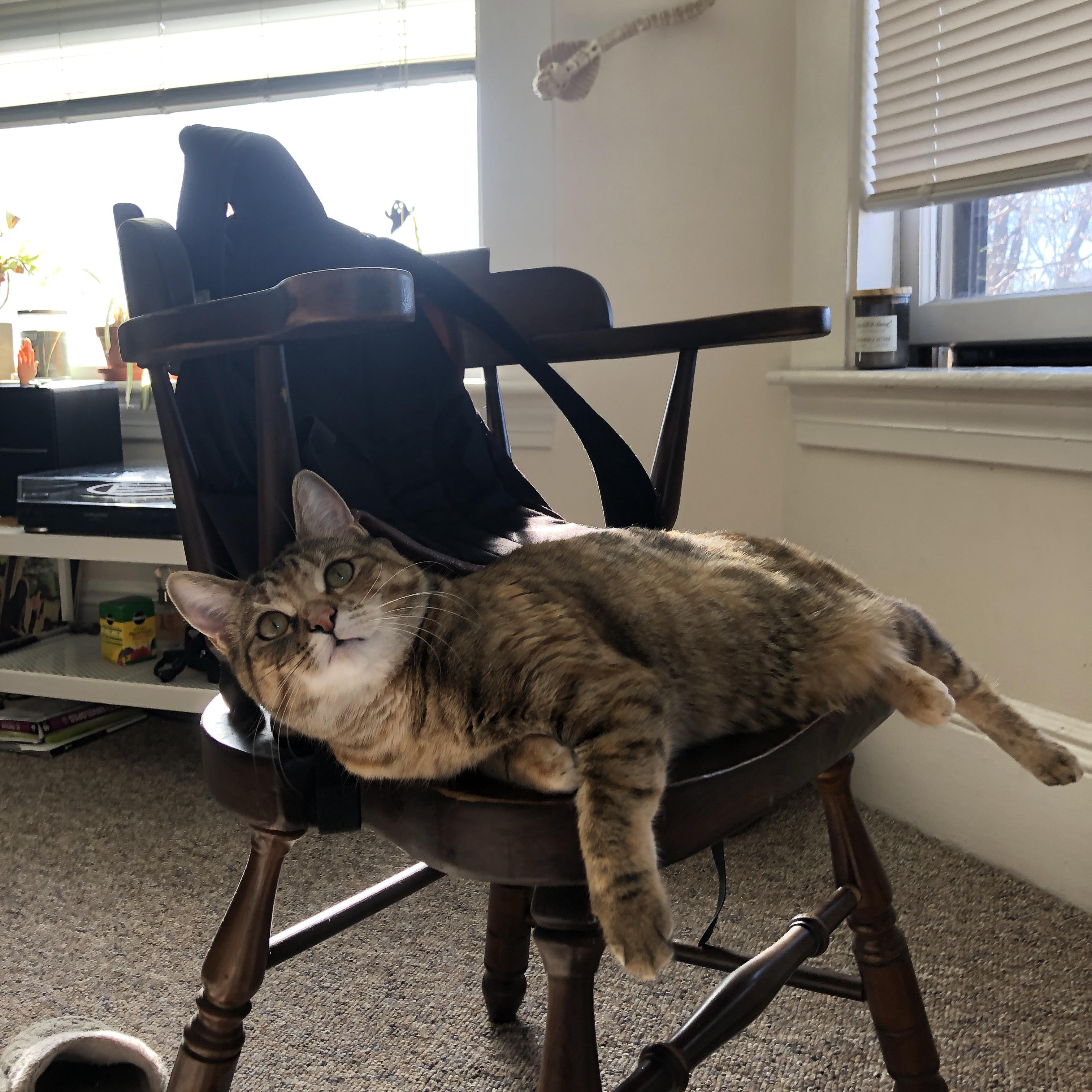 当魔术的青春风暴遭遇国王,库里已在奥运频道切换死神模式