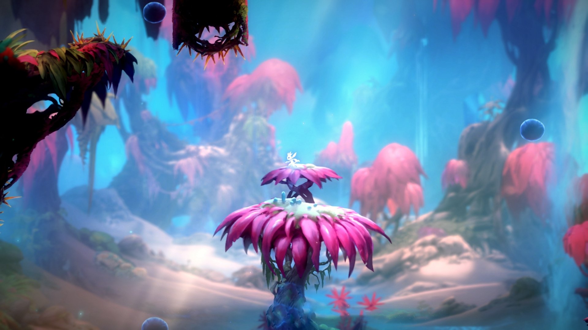 中场节拍器,从墨西哥到安菲尔德,足球世界的节奏哲学