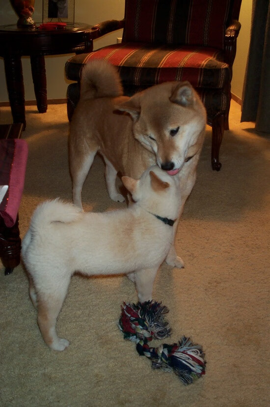 黑白直播体育-绿茵决战与北境风暴，当欧冠巅峰对决映照NBA晋级之路