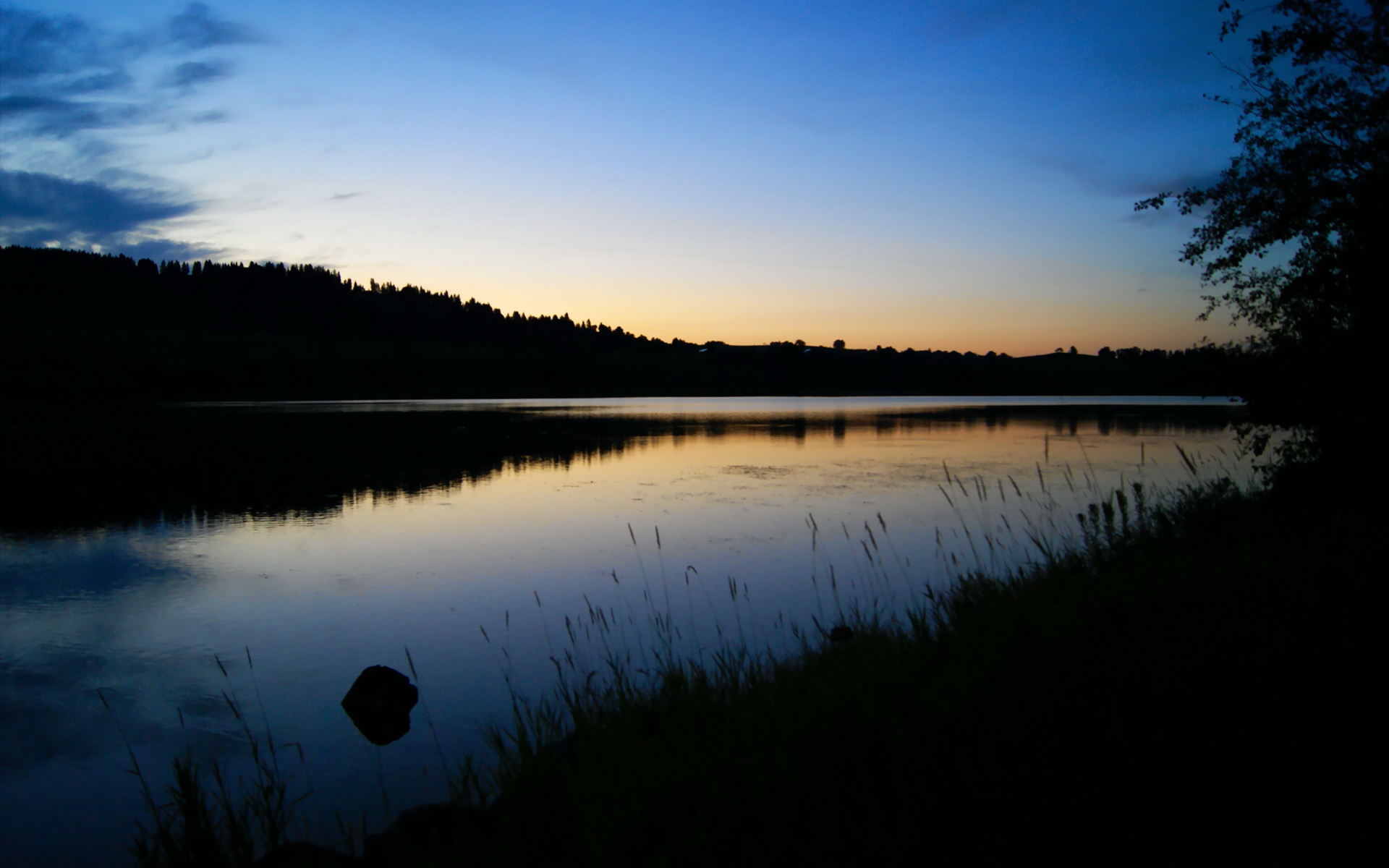 黑白直播-天外来客降临球场，文班亚马神级表演导演雄鹿险胜广东