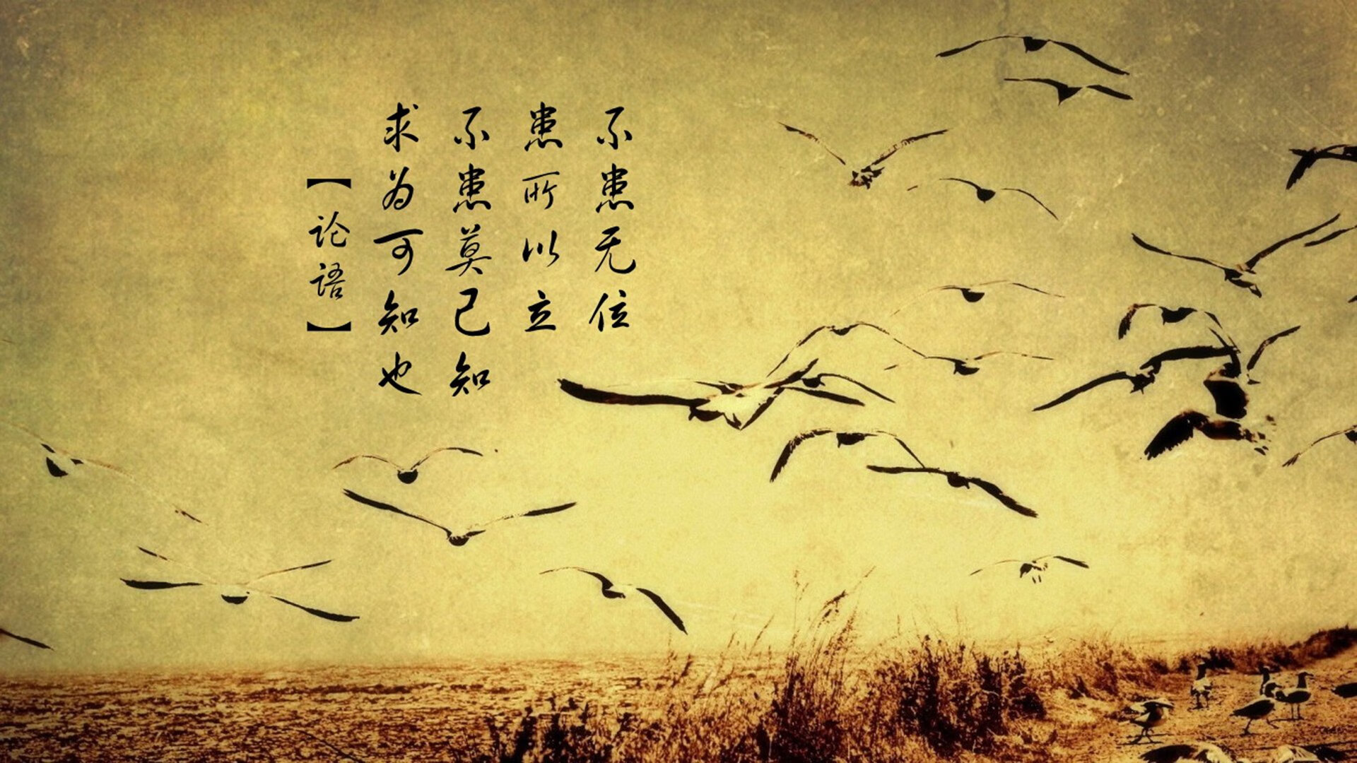 沉默的利刃,罗德里如何用最朴素的方式,在关键节点刺穿切尔西的心脏