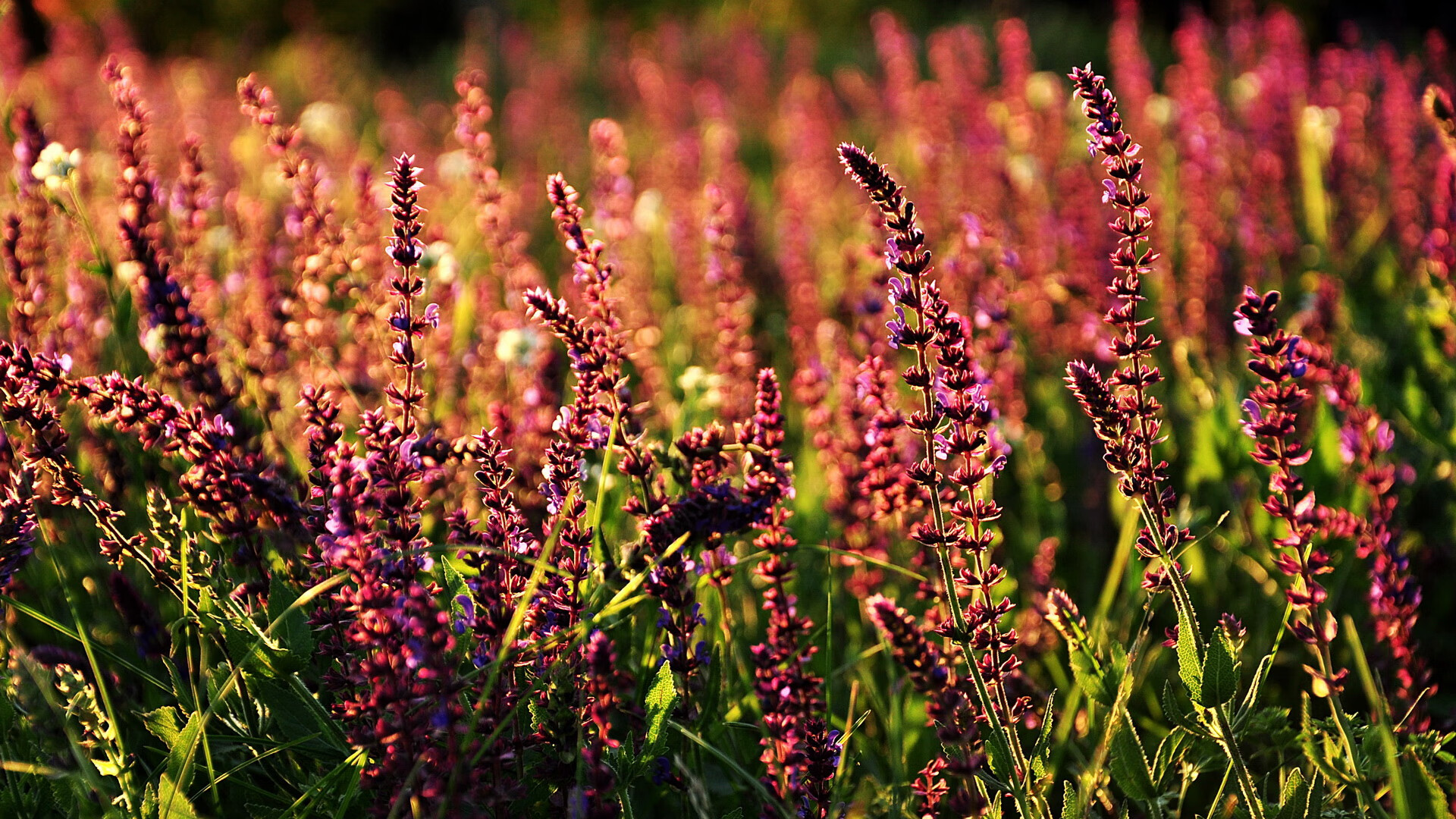 冷雨战袍下的对决，拉亚末节接管比赛