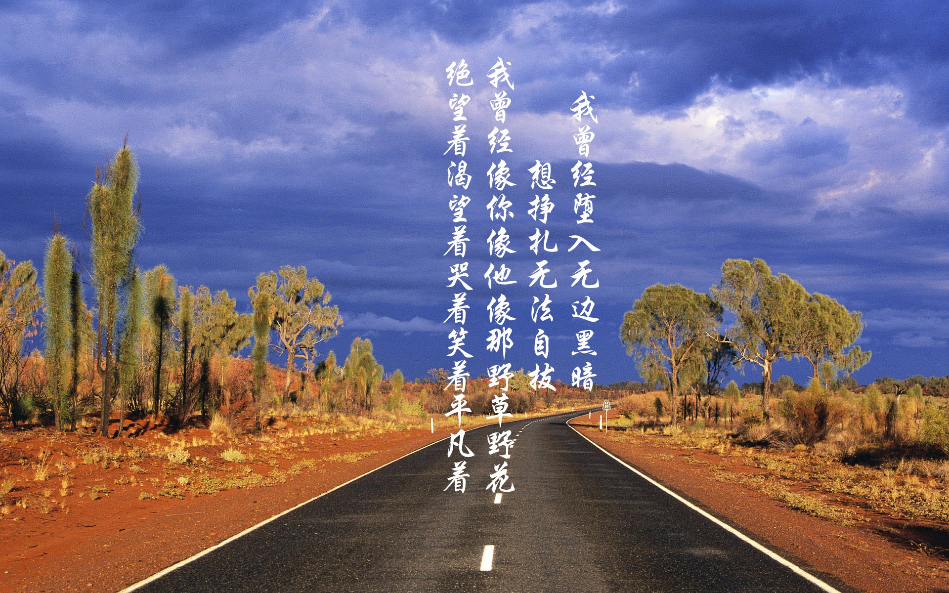 阿坎吉一锤定音！荷兰铁骑碾碎瑞典，关键先生改写历史