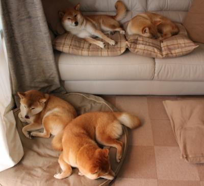 火箭升空击溃鹈鹕,约基奇关键先生显神威