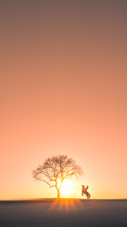 黑白直播网-铁骨铮铮，雷霆力克雄鹿成王朝试金石，武切维奇踏上救赎之路