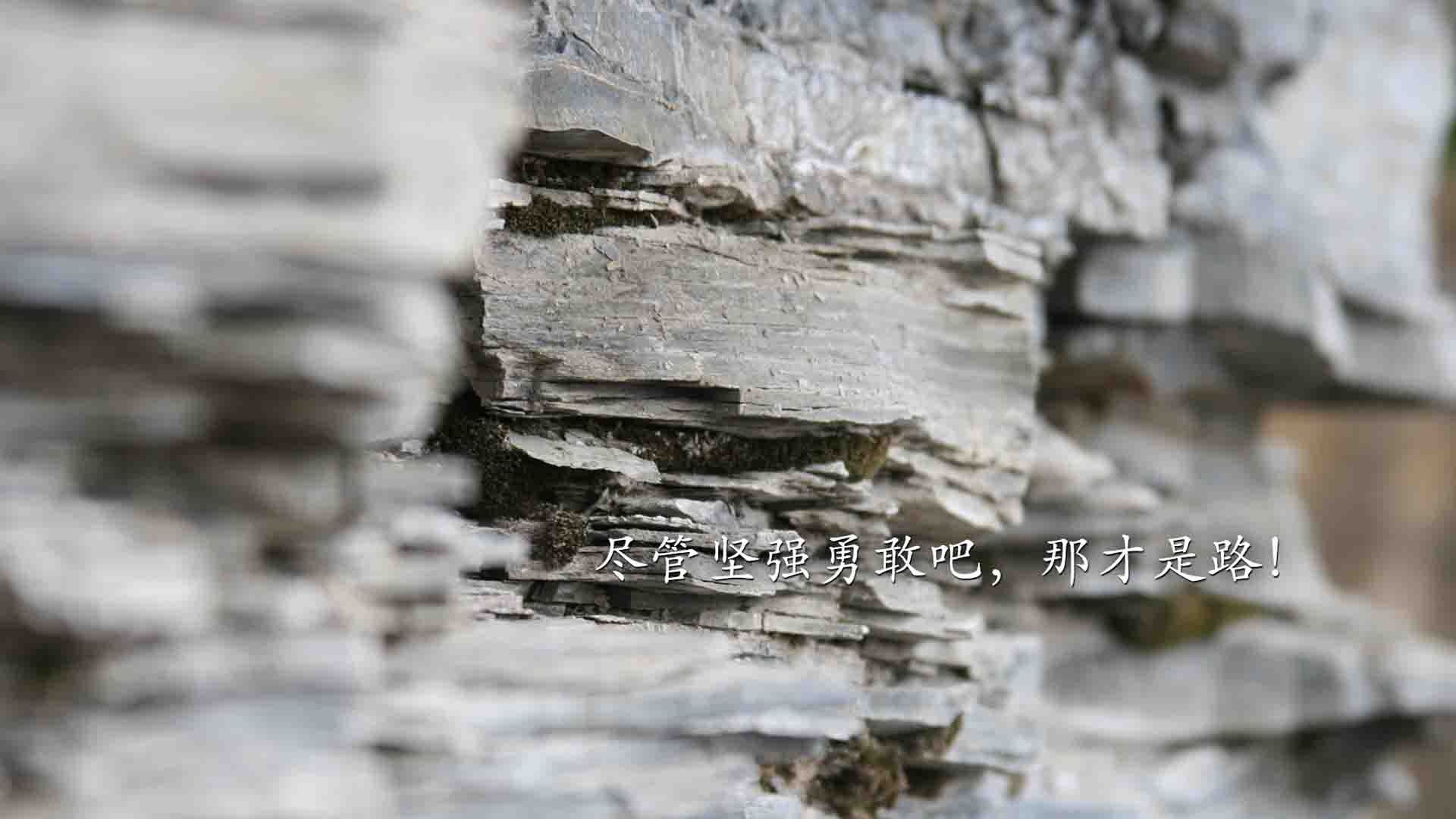 黑白直播nba-跨洲对决与欧冠巅峰，勒沃库森淘汰赛险胜秘鲁劲旅，莱万半决赛独揽风云