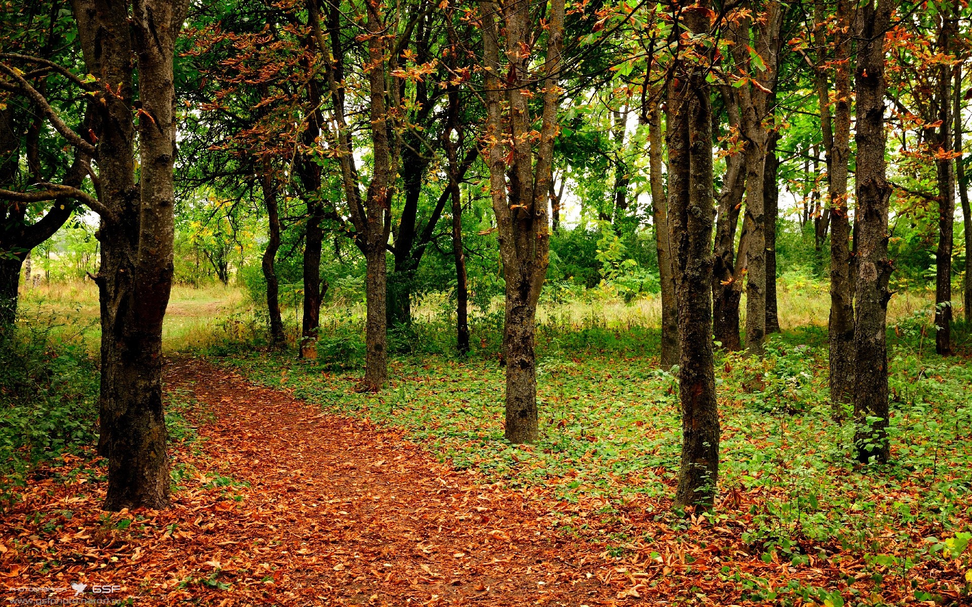 黑白直播在线观看-年度焦点之战之夜，哈利伯顿关键时刻站出来