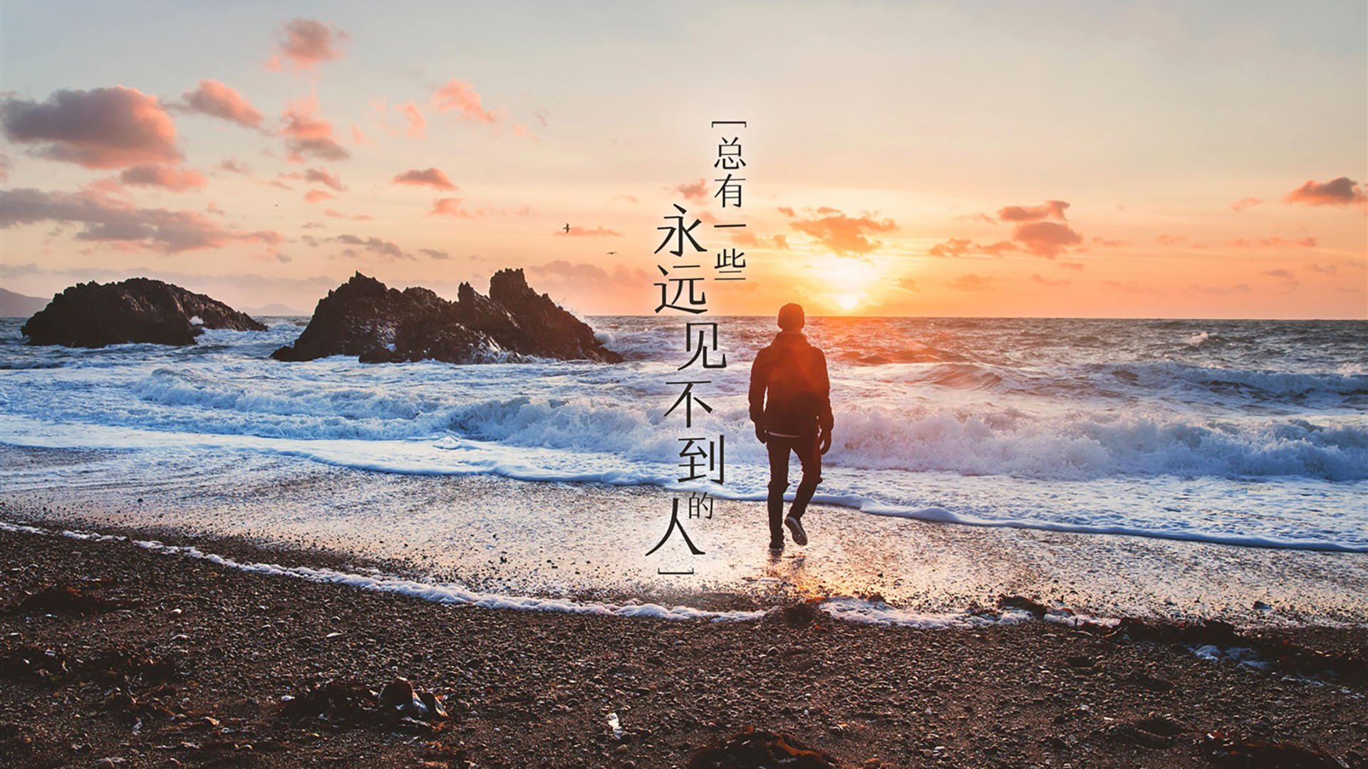 黑白直播-巅峰对决，雄鹿力克鹈鹕登顶，浓眉总决赛狂飙空砍传奇