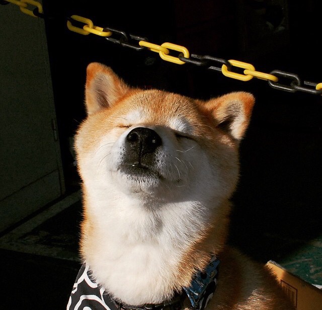 黑白直播体育-勒布朗的凝视，当NBA巨星成为英超争冠之夜的云端裁判