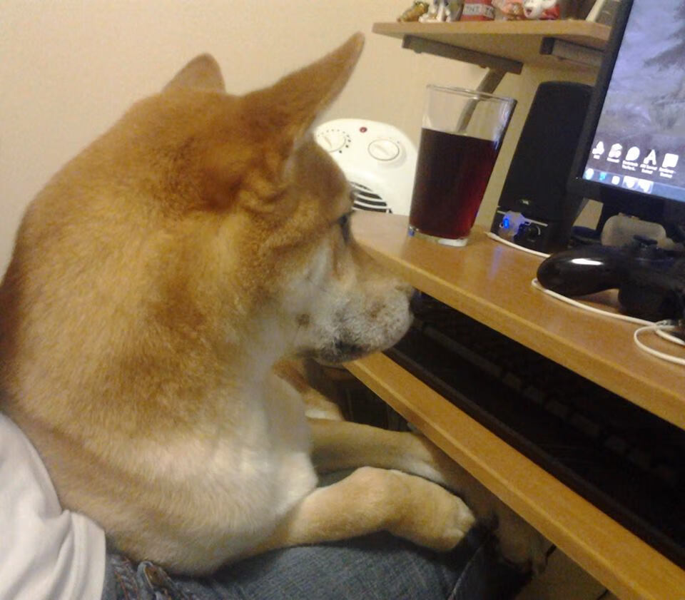 黑白直播-节奏与冠冕，当吉林队的智慧遇见乔治的雷霆一击