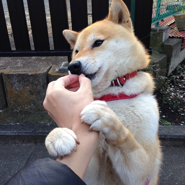 黑白直播网-德甲争冠焦点战引爆欧洲足坛，西班牙强势晋级与马德里竞技的辉煌征程