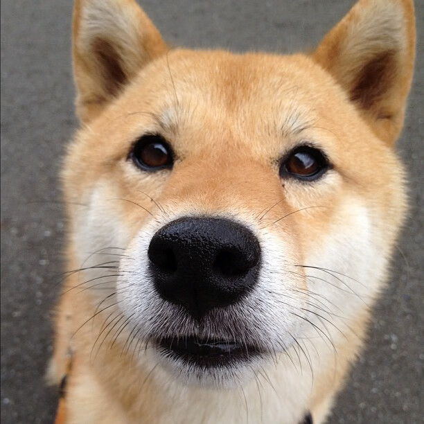 黑白直播nba在线观看-文班亚马爆发31+12+6！鹈鹕鏖战加时，险胜爵士捍卫主场