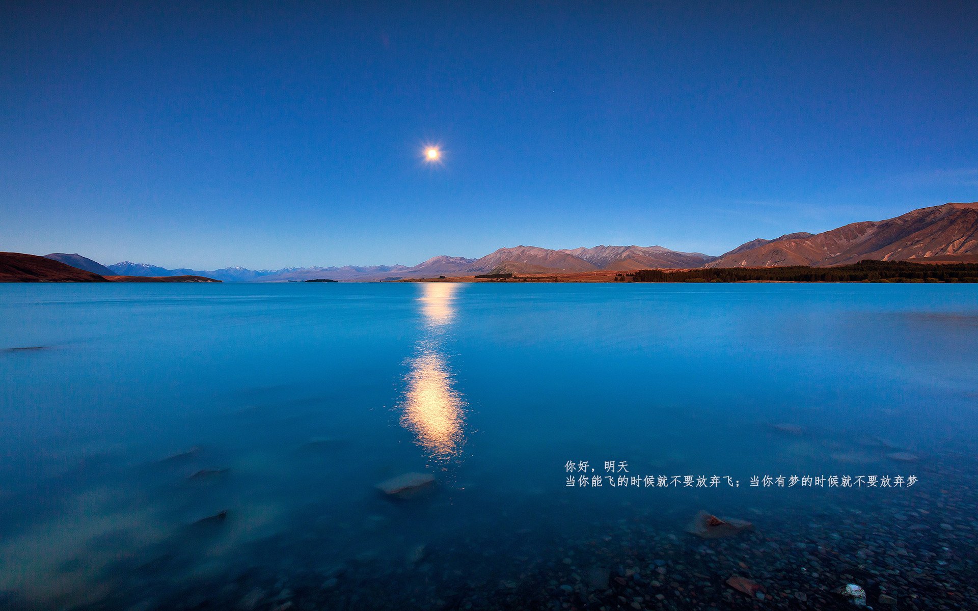 黑白直播nba-疾风之狼，浙江队强势晋级之路与爱德华兹的节奏艺术