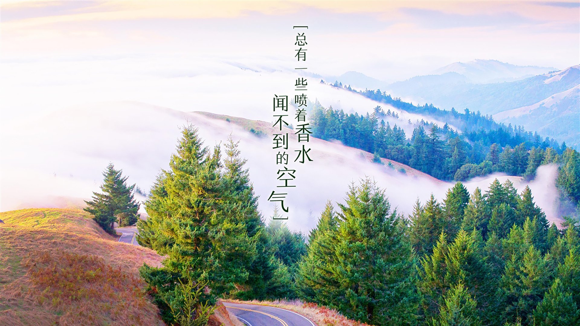 黑白直播在线观看-魔笛未老，新锋正锐，克罗地亚如何在2026世界杯A组焦点战中压制巴西