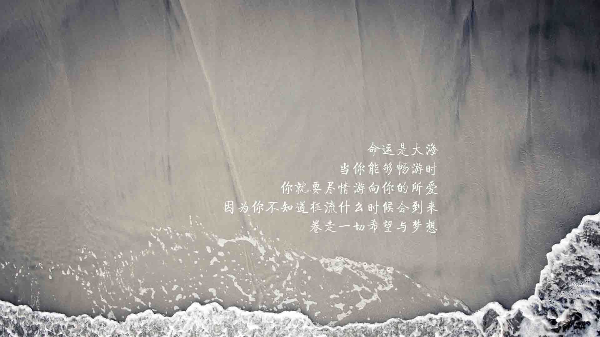 黑白直播免费体育直播-逆风翻盘！2026世界杯A组强强对话，卡塔尔逆转越南，阿方索·戴维斯闪耀全场